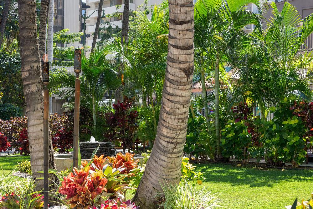 הונולולו Courtyard By Marriott Waikiki Beach מראה חיצוני תמונה